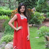 Nikitha Narayan New Pictures | Picture 68826